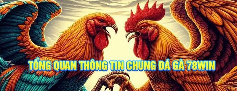 Đá gà 78win là nền tảng giải trí đáng tin cậy trong năm 2025